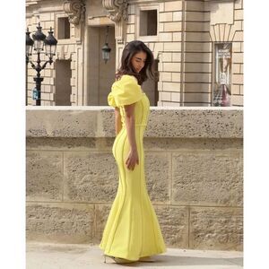 Elliatt Katlyn Maxi Dress Yellow garden Party Dinner Cocktail Event size S NWT